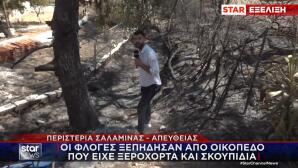 Σαλαμίνα φωτιά