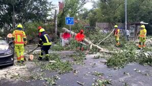 Γερμανία: Σφοδρές καταιγίδες και ανεμοστρόβιλοι - Νεκρή μία γυναίκα