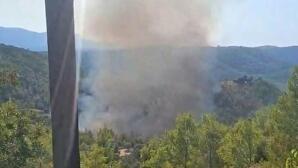 Φωτιά Σε Δασική Έκταση Στο Μαρκόπουλο Ωρωπού