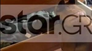 Ελευσίνα: Σκύλος Ξετρύπωσε Ναρκωτικά Σε Σπίτι