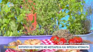 Κοτόπουλο Γεμιστό Με μοτσαρέλα Και Φρέσκια Ντομάτα