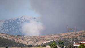 Φωτιά τώρα στην Εύβοια: Ήχησε το 112 - Σηκώθηκαν Εναέρια