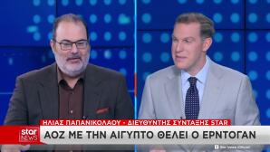 Αίγυπτος Μητσοτάκης Ερντογάν