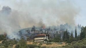 Φωτιά σε αγροτοδασική έκταση στην Πελασγία Φθιώτιδας