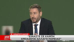 Ν. Ανδρουλάκης