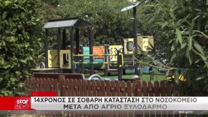 14χρονος περιοχή ξυλοδαρμού