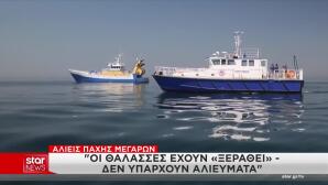 Οριστικό Τέλος Στις Καταστροφικές Για Τον Βυθό Βιντζότρατες
