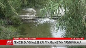 Ρέμα Πικροδάφνης: Γεμίζει λύματα και σαπουνάδες με τη Bροχή
