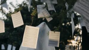 Το Rebirth Του Μελαχρινού Βελέντζα Στο Δρυόδασος Tης Φολόης