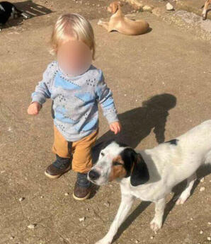 Ζάκυνθος: Δεν Έβγαζε Τα Δόντια Του Από Το Παιδί