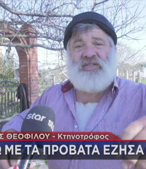 Θεσσαλονίκη: Ραγίζει Καρδιές Ο Κτηνοτρόφος