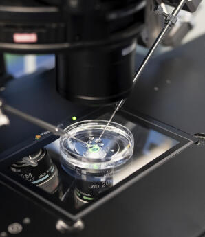 197 Παιδιά Γεννήθηκαν Με Σπέρμα Με Καρκινικό Γονίδιο