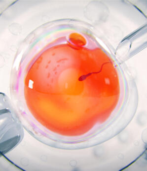 Επτά Κλινικές Στην Ελλάδα Χρησιμοποίησαν Σπέρμα Του Δότη