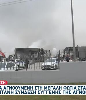 Τρίκαλα: Θα ήταν περισσότεροι οι νεκροί χωρίς την κοπή πίτας