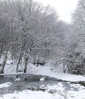 Καιρός: Ξεκινά Η Σιβηρική Εισβολή Με Κρύο Και Χιόνια