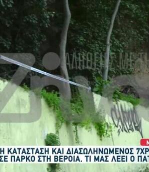 Βέροια: Πέθανε Ο 7χρονος Που Είχε Τραυματιστεί Σε Πάρκο