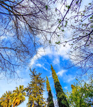 Καιρός: Βροχές Στη Μισή Χώρα, Καλοκαίρι Στην Άλλη Μισή