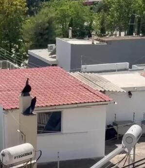 Περιστέρι: Τα Έξι Παιδιά Ζούσαν Σε 27 τ.μ Μέσα Στα Σκουπίδια
