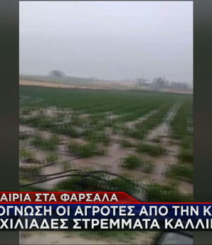 κακοκαιρία