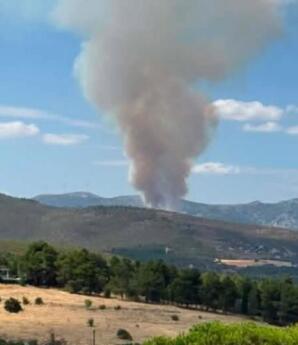 Φωτιά Στην Οινόη Αττικής