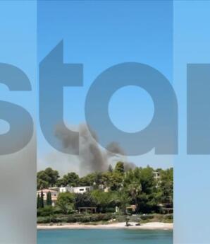 Φωτιά Αργολίδα: Απανωτά 112 - Κάηκαν Σπίτια Στα Φίχτια
