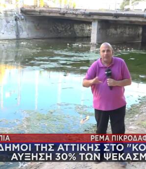 Ιός Δυτικού Νείλου