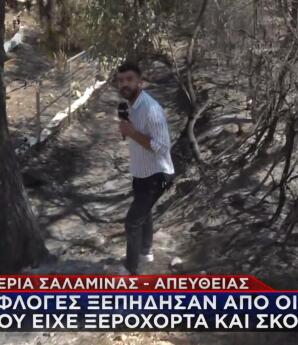 Σαλαμίνα φωτιά