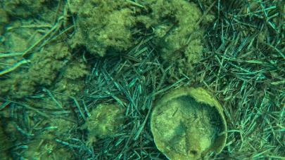 βυθός παραλίας σκουριασμένες ομπρέλες