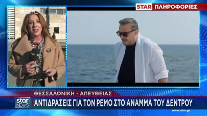Θεσσαλονίκη: Ένταση Για Επιλογή Ρέμου Στο Άναμμα Του Δέντρου