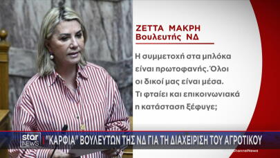 Ζέττα Μακρή καρφιά για Τσιάρα