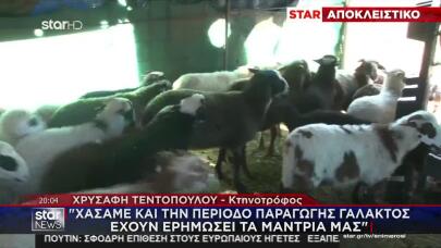 Κτηνοτρόφοι: Ζουν Τον Εφιάλτη Των Άδειων Στάβλων