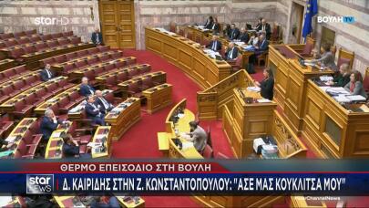 Καιρίδης Ζωή Δένδιας Βουλή