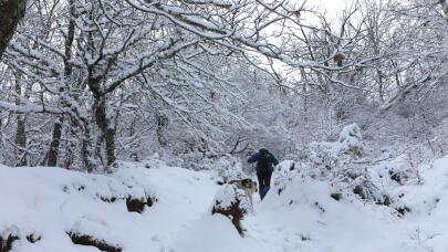 Έκτακτο Δελτίο Καιρού: Κύμα Ψύχους Από Την Κυριακή Με Χιόνια