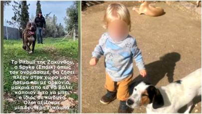 Υιοθετήθηκε το pitbull που σκότωσε το 2χρονο αγοράκι στη Ζάκυνθο
