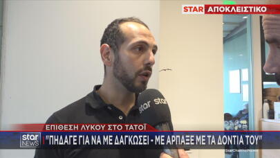 Τατόι λύκος