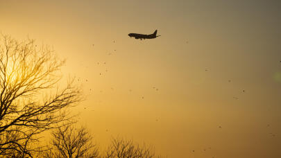 Ιράν: Ακυρώσεις Πτήσεων Από Αεροπορικές Εταιρείες