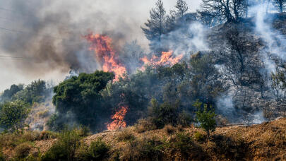 Φωτιά Τώρα Στην Κεφαλονιά - Ισχυρές Δυνάμεις Στο Σημείο