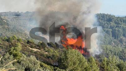 Πύργος Ηλείας: Μεγάλη φωτιά στα Βυτιναίικα - Kαίει σε δύο μέτωπα