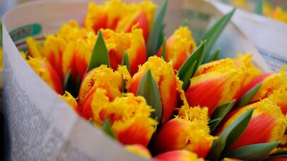 Εορτολόγιο Σήμερα: Ποιοι Γιορτάζουν Στις 15 Απριλίου