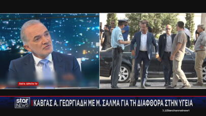 Μάριος Σαλμάς Άδωνις Γεωργιάδης