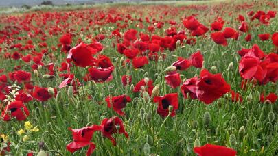 Καιρός: «Φθινοπωρινή Παρένθεση» Με Κρύο Την Πρωτομαγιά