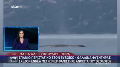 Φάλαινα Φυσητήρας 9 Μέτρων Εμφανίστηκε Τον Ευβοϊκό Κόλπο