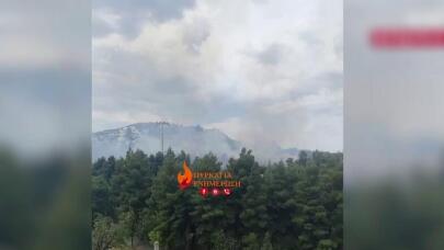 Φωτιά Τώρα στο Άλσος Βεΐκου - Σηκώθηκαν Εναέρια Μέσα