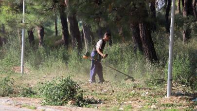 Ακαθάριστα Οικόπεδα