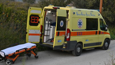 Εύβοια: Νεκρή 21χρονη Μετά Από Τσίμπημα Σφήκας