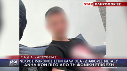 Δολοφονία 15χρονου Καλλιθέα: Tο Κίνητρο Της Επίθεσης
