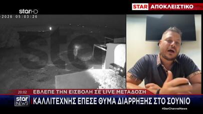 Σούνιο: Καλλιτέχνης Θύμα Διάρρηξης - Έβλεπε Live Την Εισβολή
