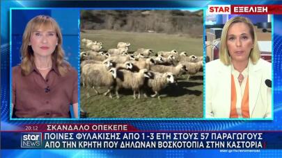 ΟΠΕΚΕΠΕ ποινές