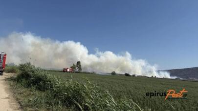 Φωτιά Στην Άρτα: 112 Στον Άγιο Σπυρίδωνα Για Ετοιμότητα