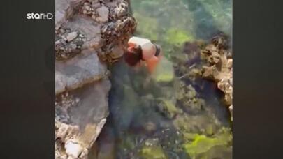 Μάνη: Καρέτα Καρέτα Δάγκωσε Και Τραυμάτισε Τραγουδίστρια